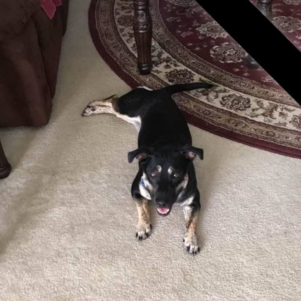 Meet your Posher, Tammy